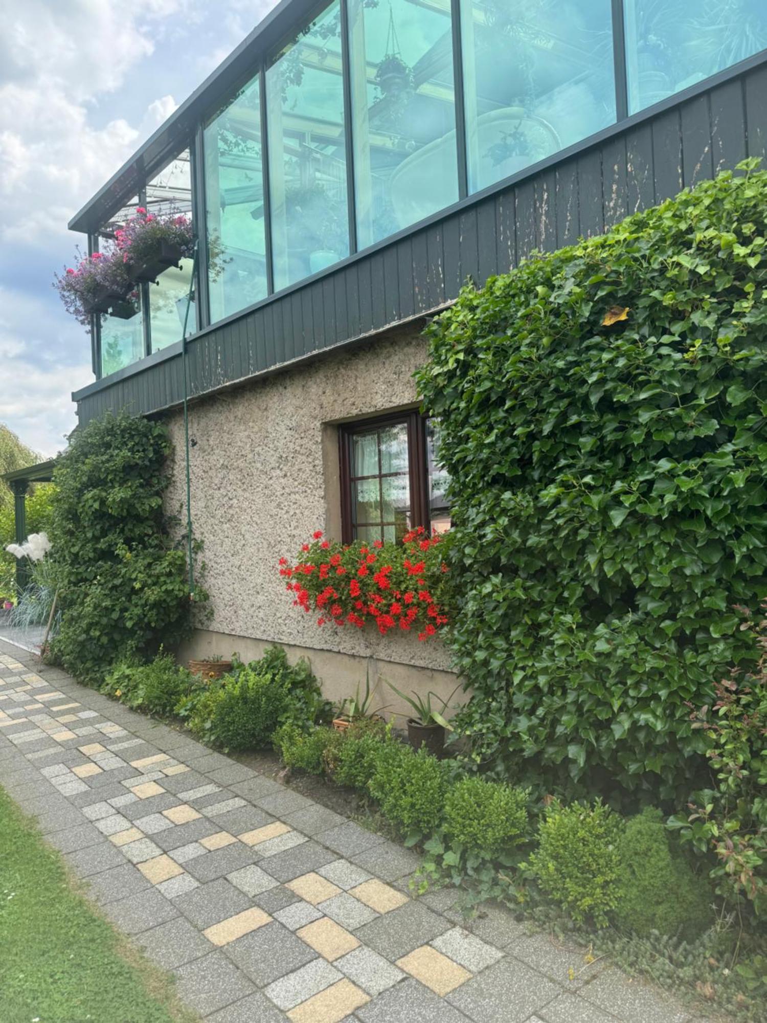 Ferienwohnung Hinterhermsdorf Glaser Sebnitz Esterno foto